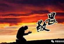 阿普说创业:【粉丝必看】阿普老师这些年操作赚钱项目的经验总结,看懂这三点,能让你少走十年弯路!-阿普说创业