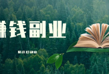 副业小项目,月入大几千,零成本,闷声赚!-阿普说创业