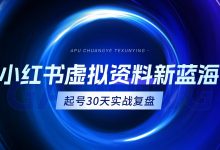 单号月入6W!小红书虚拟资料新蓝海,起号30天实战复盘,新手照做就能赚-阿普说创业