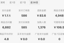 2026小红书虚拟新红利:告别搬运,用AI做这4类原创产品,有人已月入10W+-阿普说创业