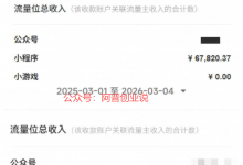 抓住新红利！小白也能月入2W+，不用懂代码，用AI做小程序赚钱保姆级教程-阿普说创业